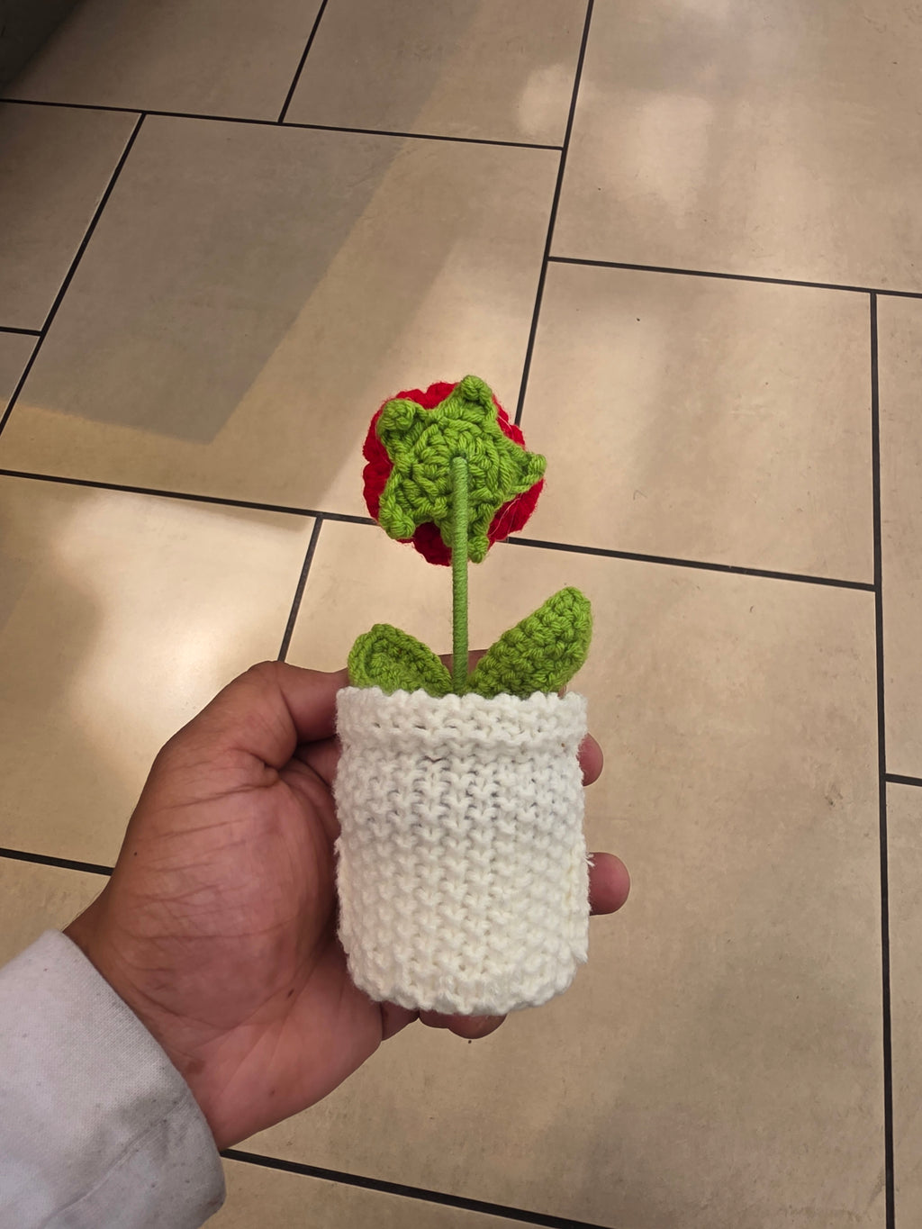 Rose pot
