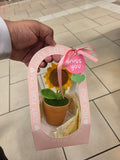 Sunflower pot
