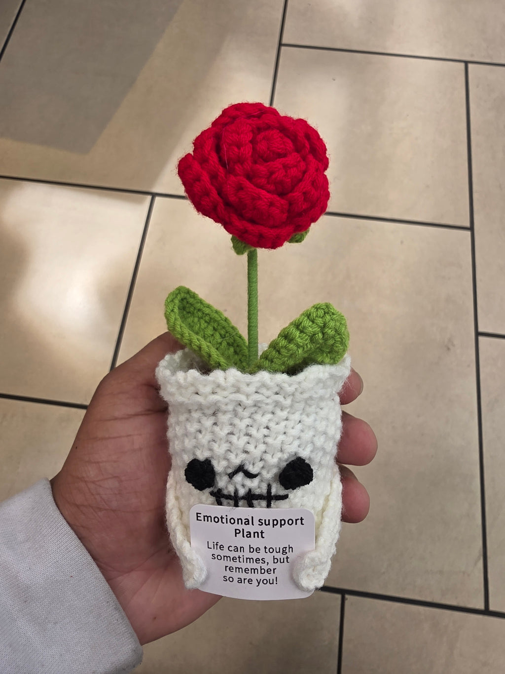 Rose pot